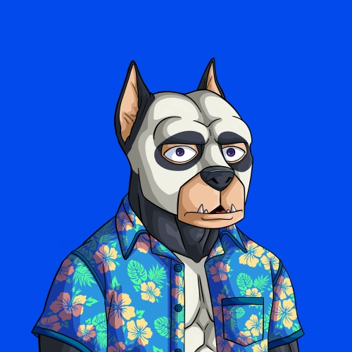 Token #249