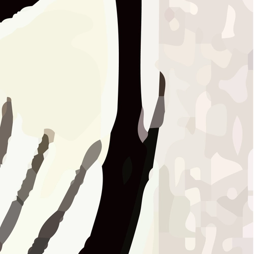 Token #906