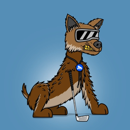 Token #343
