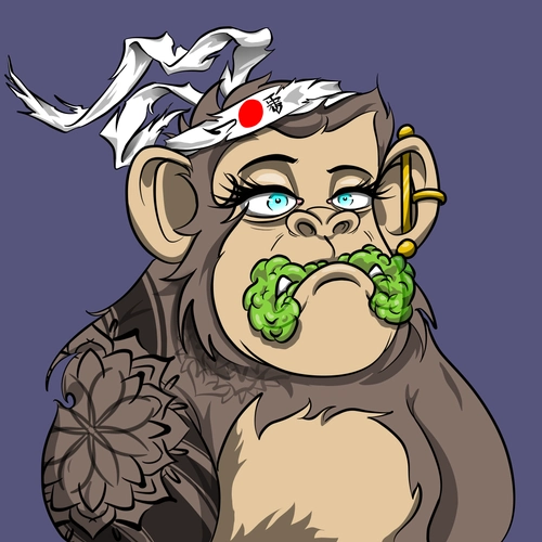 Token #255