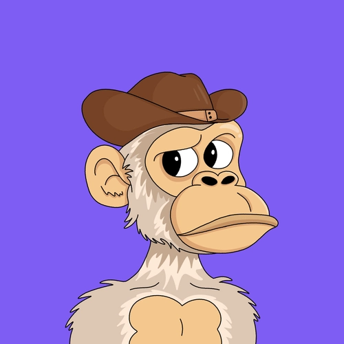 Token #237