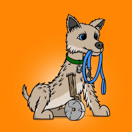 Token #293