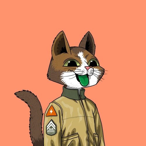 Token #210