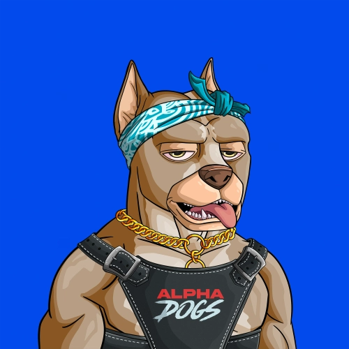 Token #1247