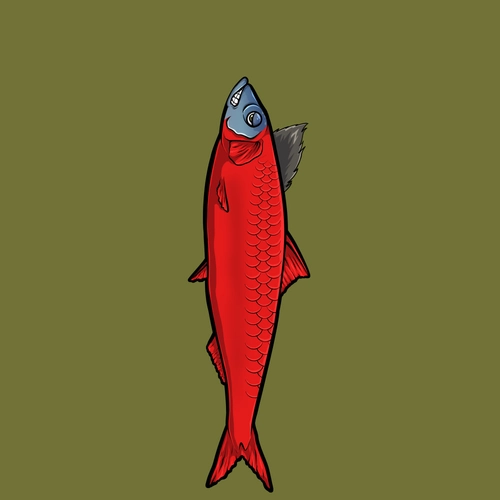 Token #496