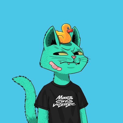 Token #311