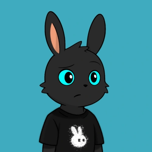 Token #2494