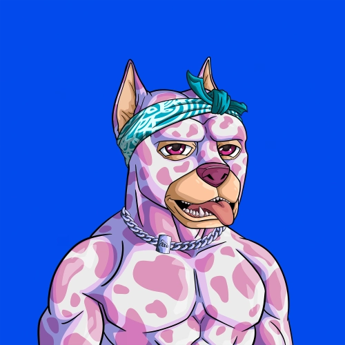 Token #527