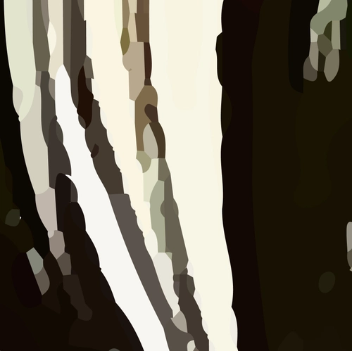 Token #895
