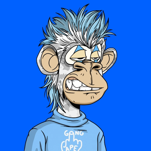Token #2243