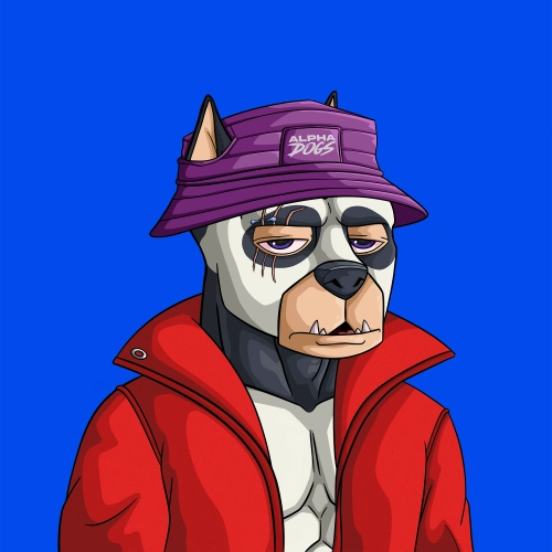 Token #241